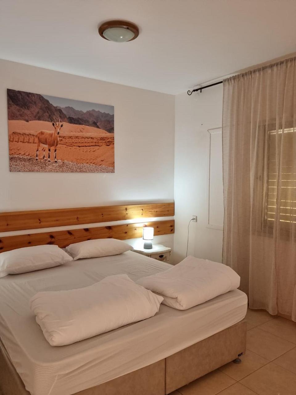 Elifaz Desert Experience Holiday Zewnętrze zdjęcie