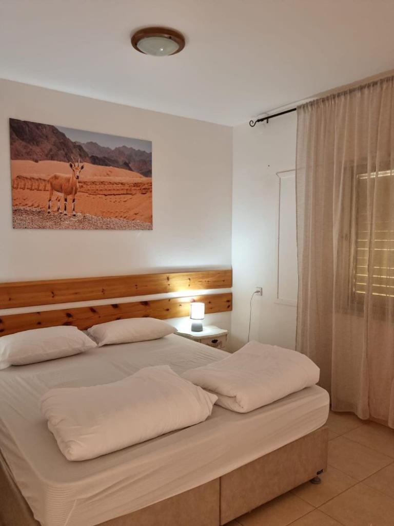 Elifaz Desert Experience Holiday Zewnętrze zdjęcie