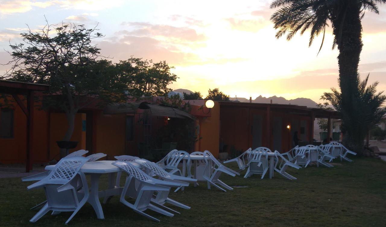 Elifaz Desert Experience Holiday Zewnętrze zdjęcie